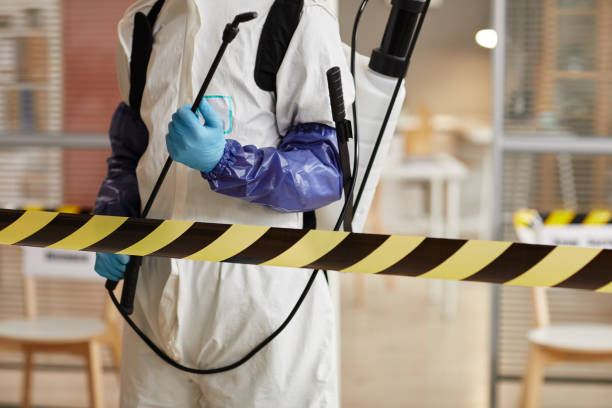 Professional Sewage Cleanup technician working in Sadieville, KY